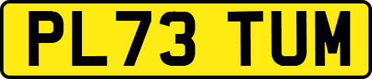 PL73TUM
