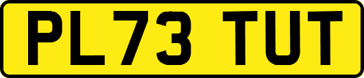 PL73TUT