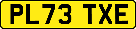 PL73TXE