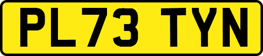 PL73TYN