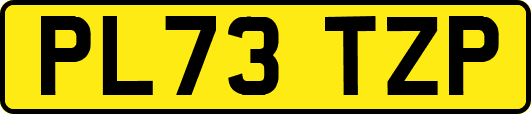 PL73TZP
