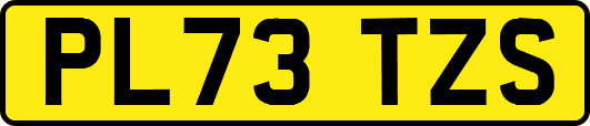 PL73TZS