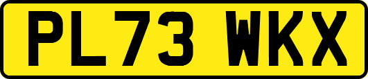 PL73WKX