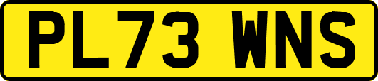 PL73WNS