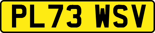 PL73WSV