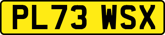 PL73WSX
