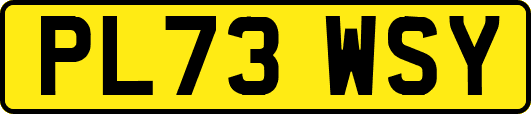 PL73WSY