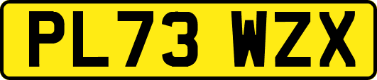 PL73WZX