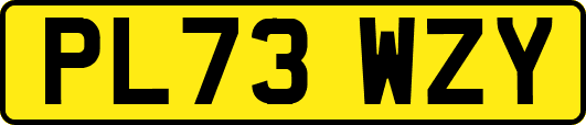 PL73WZY