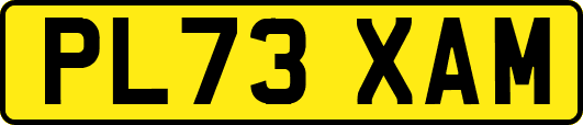 PL73XAM