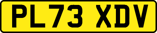 PL73XDV