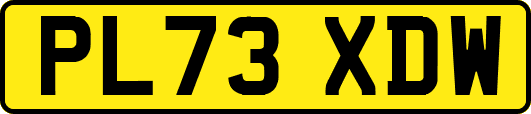 PL73XDW