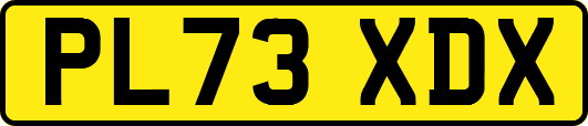 PL73XDX