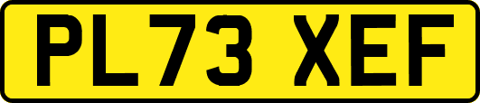 PL73XEF
