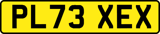 PL73XEX