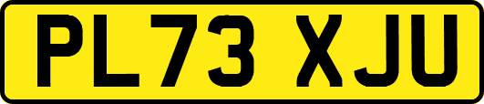 PL73XJU