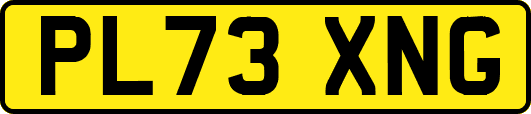 PL73XNG