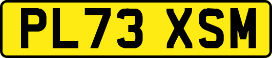 PL73XSM