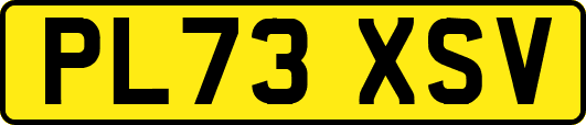 PL73XSV