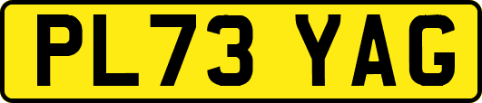 PL73YAG