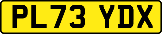 PL73YDX