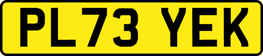 PL73YEK