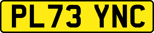 PL73YNC