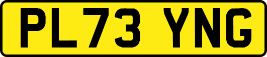 PL73YNG