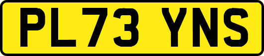 PL73YNS