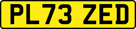 PL73ZED