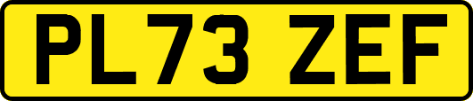 PL73ZEF