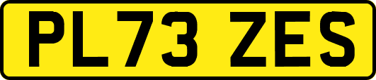 PL73ZES