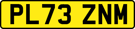 PL73ZNM