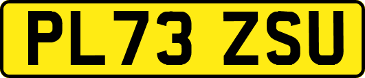 PL73ZSU