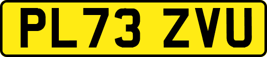 PL73ZVU
