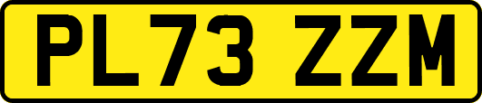 PL73ZZM