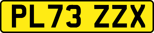 PL73ZZX