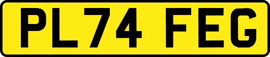 PL74FEG