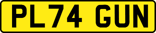 PL74GUN