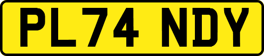 PL74NDY