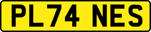 PL74NES