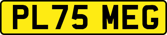 PL75MEG