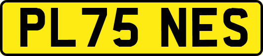 PL75NES