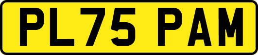 PL75PAM