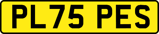 PL75PES