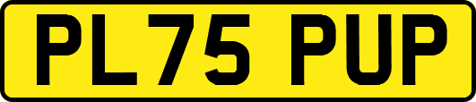 PL75PUP