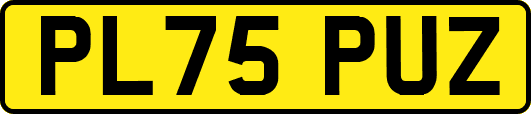 PL75PUZ
