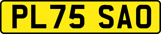 PL75SAO