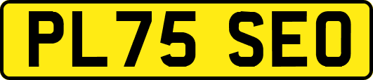 PL75SEO