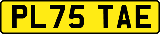 PL75TAE